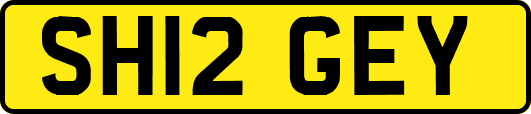 SH12GEY