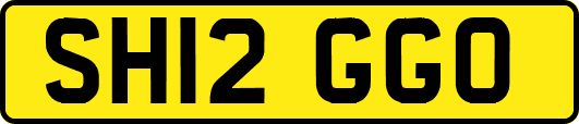 SH12GGO