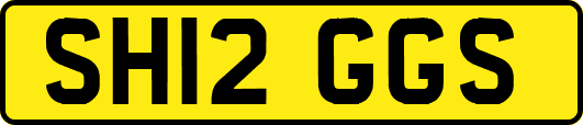SH12GGS