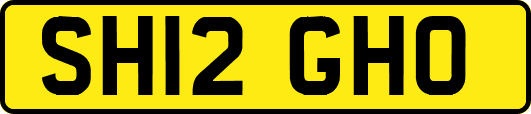 SH12GHO