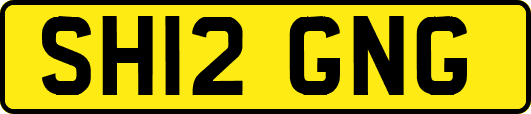 SH12GNG