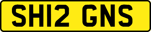 SH12GNS