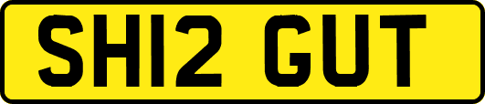 SH12GUT