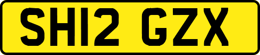 SH12GZX
