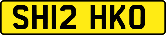 SH12HKO