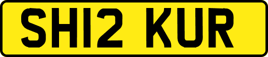 SH12KUR