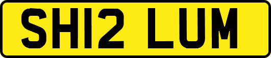 SH12LUM