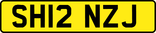 SH12NZJ