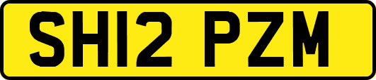 SH12PZM