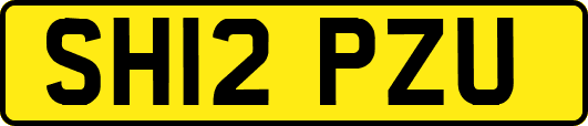 SH12PZU
