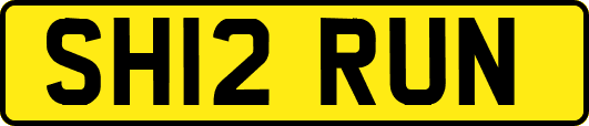 SH12RUN