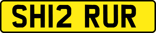 SH12RUR