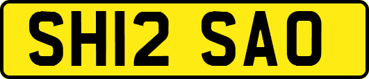 SH12SAO