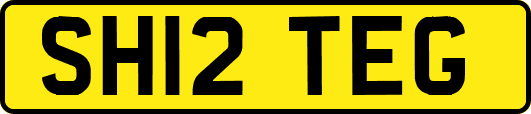 SH12TEG