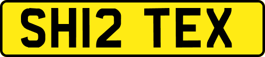SH12TEX