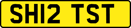 SH12TST
