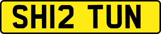 SH12TUN