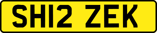 SH12ZEK