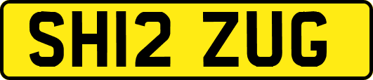SH12ZUG
