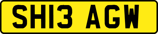 SH13AGW