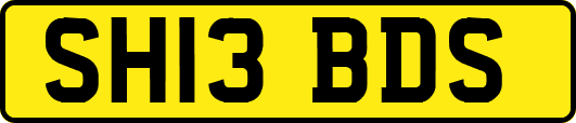 SH13BDS