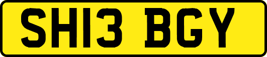 SH13BGY