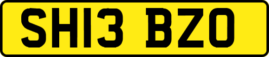 SH13BZO