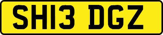SH13DGZ