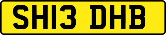 SH13DHB