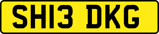 SH13DKG