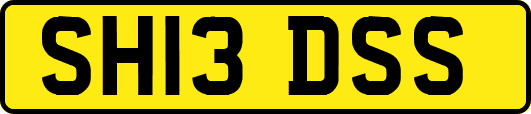 SH13DSS
