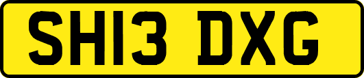 SH13DXG