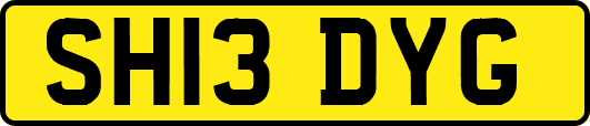SH13DYG