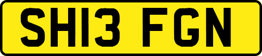 SH13FGN