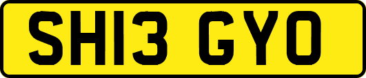 SH13GYO