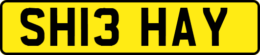 SH13HAY