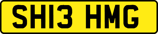 SH13HMG