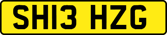 SH13HZG