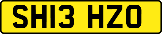 SH13HZO