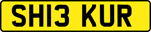 SH13KUR