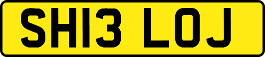 SH13LOJ