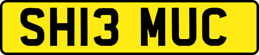 SH13MUC