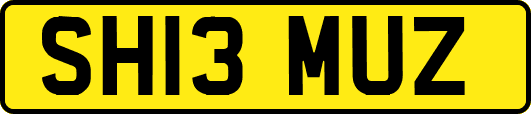 SH13MUZ