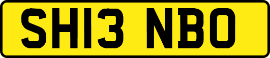 SH13NBO