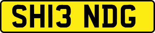 SH13NDG