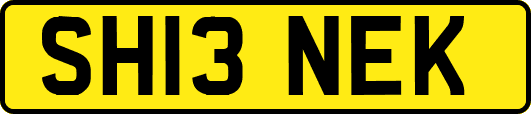 SH13NEK