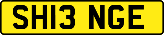 SH13NGE