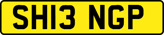 SH13NGP