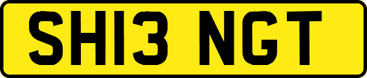 SH13NGT