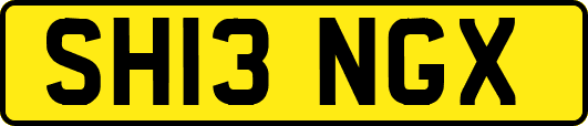 SH13NGX